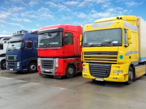 İzmir Darıca Nakliye